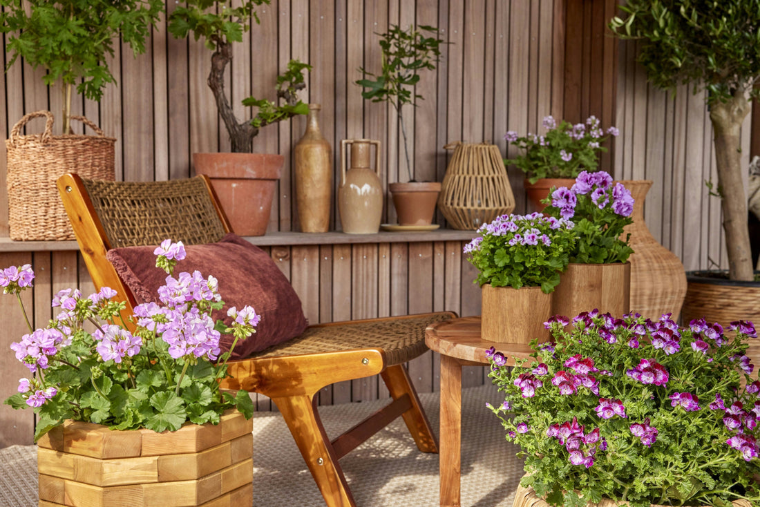 Jardin avec des fleurs
