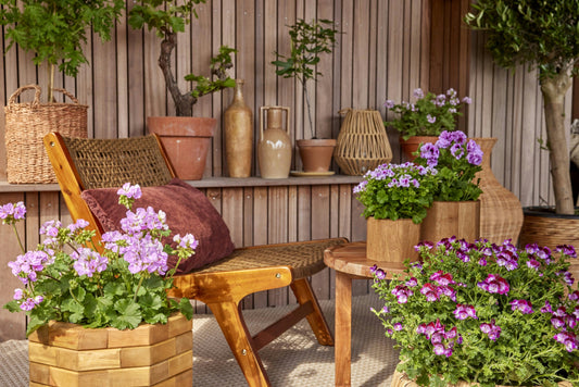 Jardin avec des fleurs