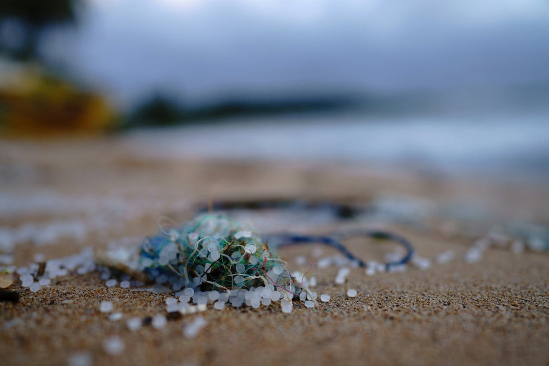 Les microplastiques dans l’eau : comment protéger nos enfants et notre planète - La Cabane à Loulous