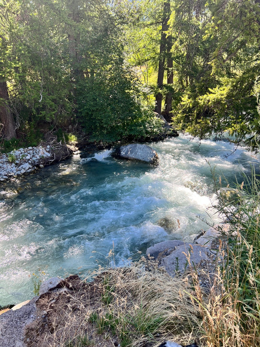 Notre engagement concret contre le plastique - La Cabane à Loulous