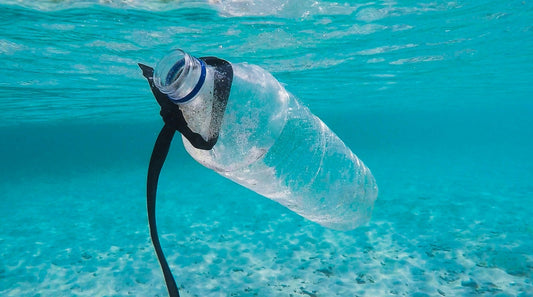 Pourquoi le Plastique est une bombe écologique - La Cabane à Loulous