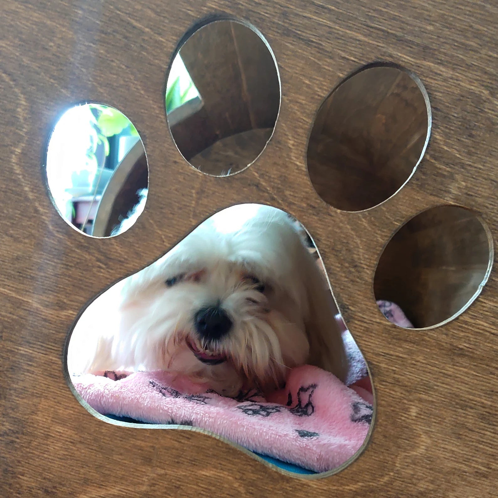 Niche pour chien en bois fait main en forme de tonneau - La Cabane à Loulous